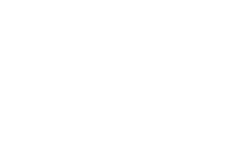 Fanatic Guitars