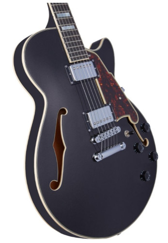 Guitarra Eléctrica D'ANGELICO Premier Ss Black Flake