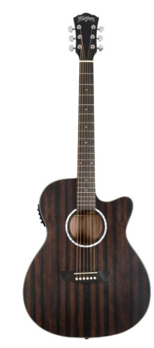 Guitare electroacoustique WASHBURN Deep Forest Ebony Ace Striped Ebony