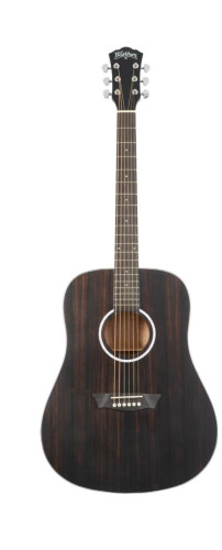 Guitare electroacoustique WASHBURN Deep Forest D Striped Ebony