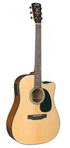 Guitarra electroacústica BLUERIDGE BR-40CE