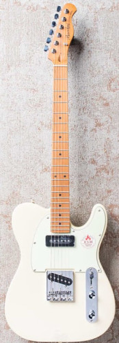 Guitare électrique BACCHUS Universe Series Tele Roasted P-90 - Old White