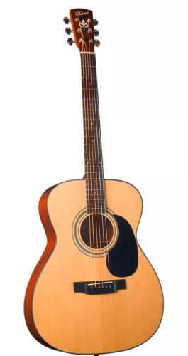 Guitarra acústica BRISTOL BM-16
