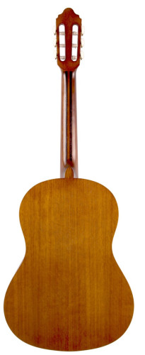 Guitare Classique VALENCIA VC204HT Antique Naturel