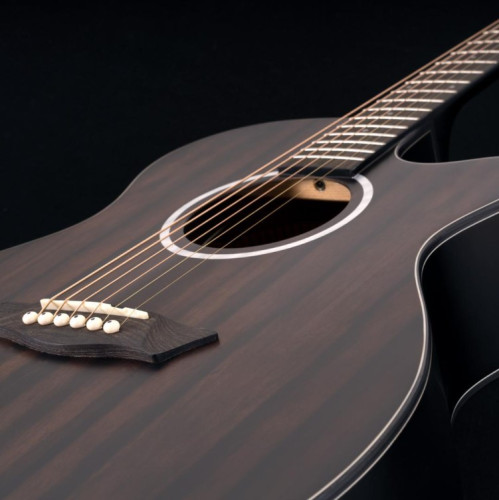 Guitare electroacoustique WASHBURN Deep Forest Ebony Ace Striped Ebony