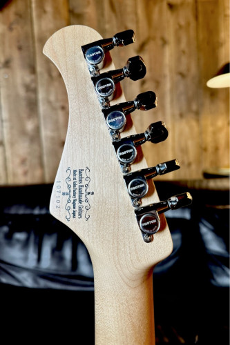 Guitare électrique BACCHUS Handmade Series Standard Tele Natural