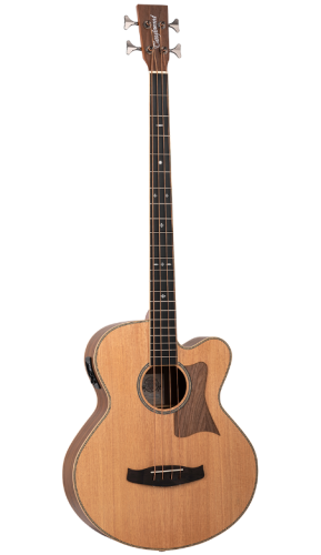 Basse acoustique TANGLEWOOD Reunion - Natural Satin TRABBW