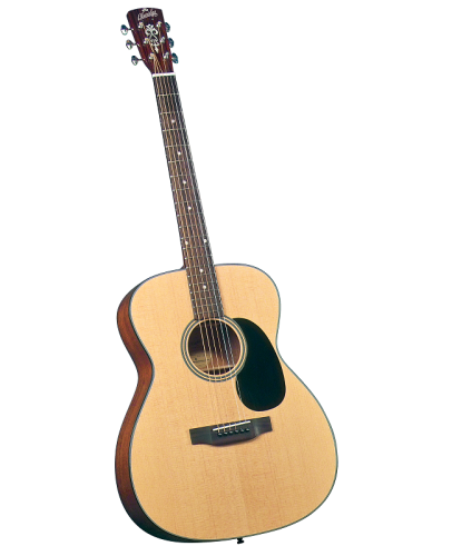 Guitarra acústica BLUERIDGE BR-43