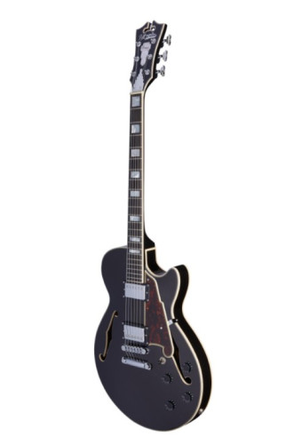 Guitarra elèctrica D'ANGELICO Premier Ss Black Flake