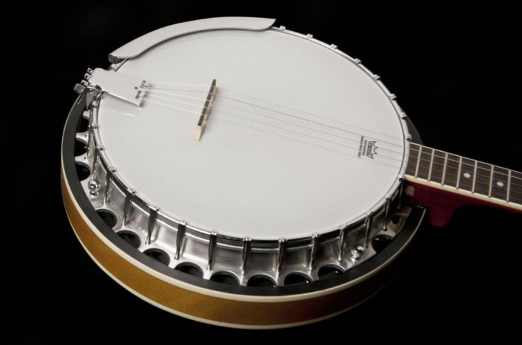 Banjo WASHBURN B9 Sunburst