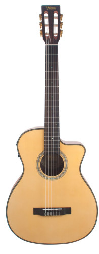 Guitare electroclassique VALENCIA VA434CE naturelle
