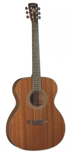 Guitare acoustique BRISTOL BM-15