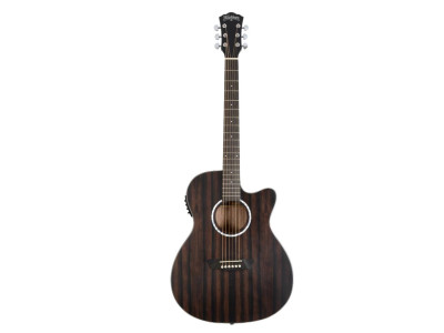 Guitare electroacoustique WASHBURN Deep Forest Ace Striped Ebony