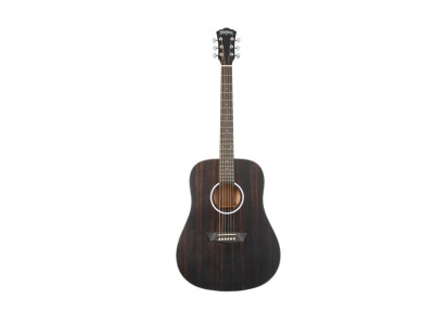 Guitare electroacoustique WASHBURN Deep Forest D Striped Ebony