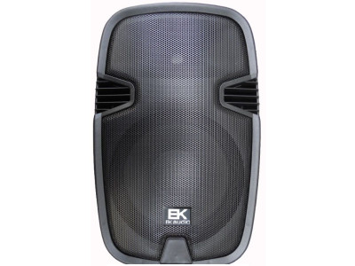 Enceinte portable EK AUDIO M19 PB 8" batterie rechargeable 120W