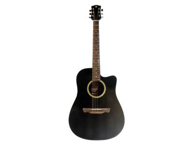 Guitarra electroacústica ALHAMBRA Appalachian W-100 CW BS E7