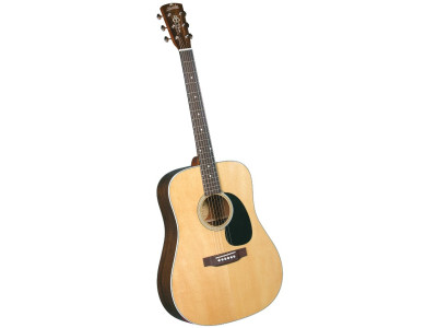 Guitarra acústica BLUERIDGE BR-60